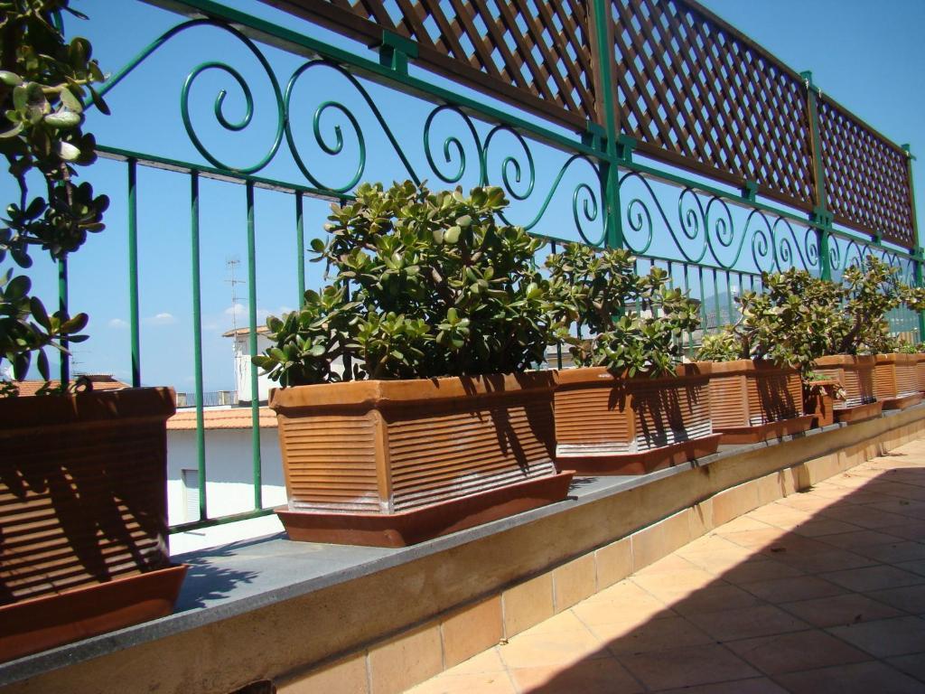 Sorrento Inn Guesthouse Eksteriør bilde